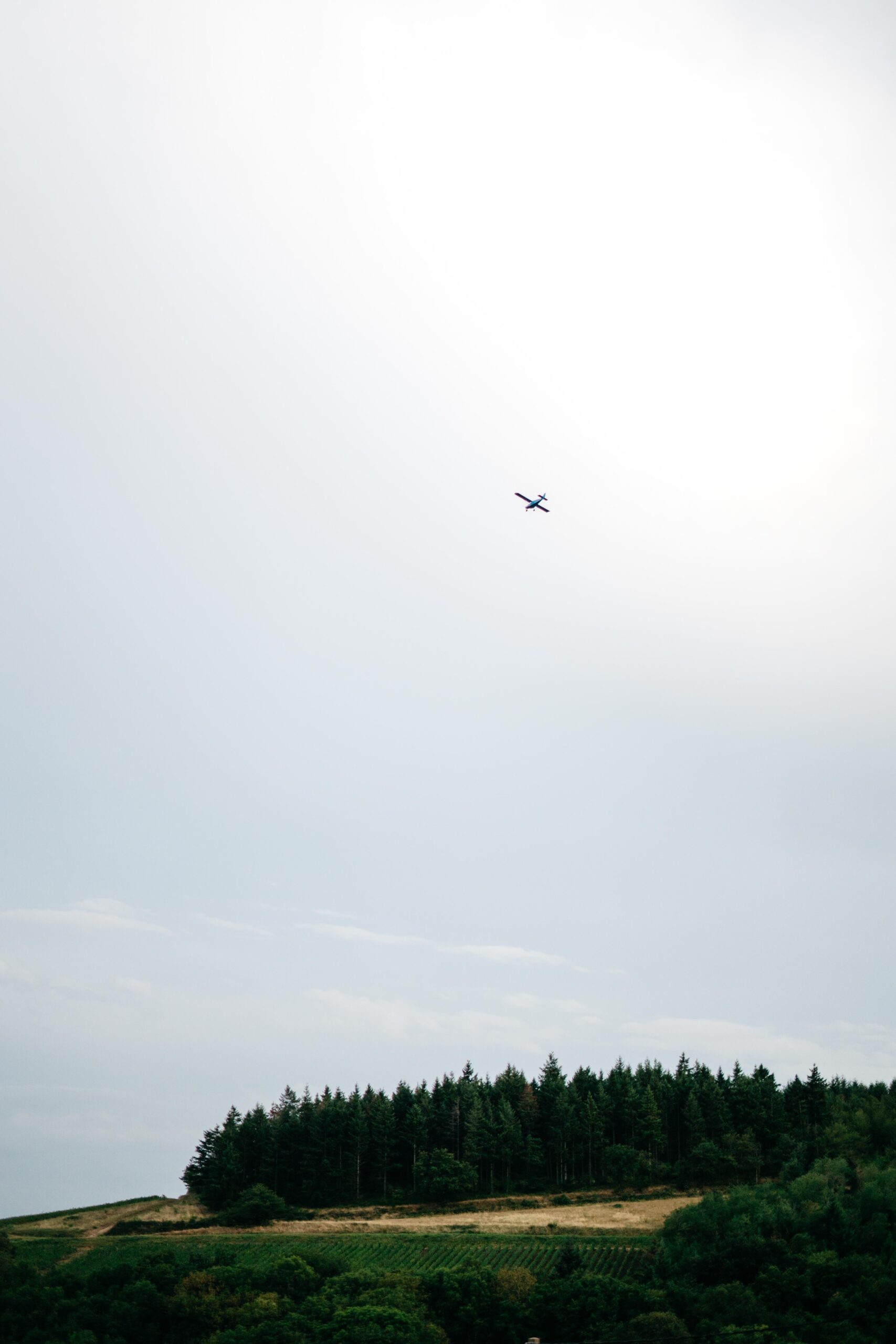 vue sur les vignes dans le beaujolais , au lieu de réception de mariages de l'ermitage