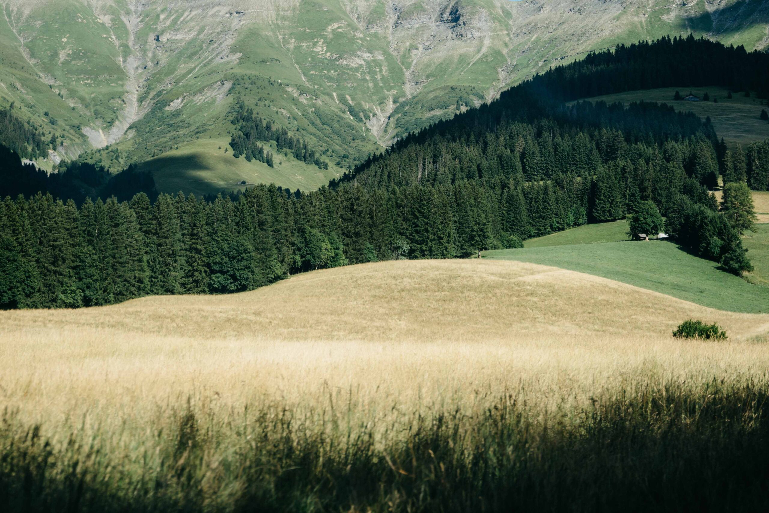 landscapes in mountain